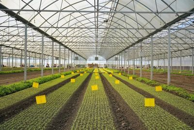 區領導深入調研農業科創谷推進工作，強調以科技創新驅動農業現代化發展